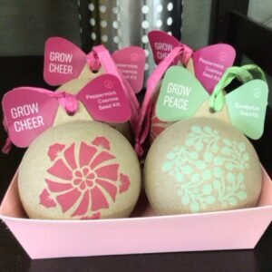 Seed Kit