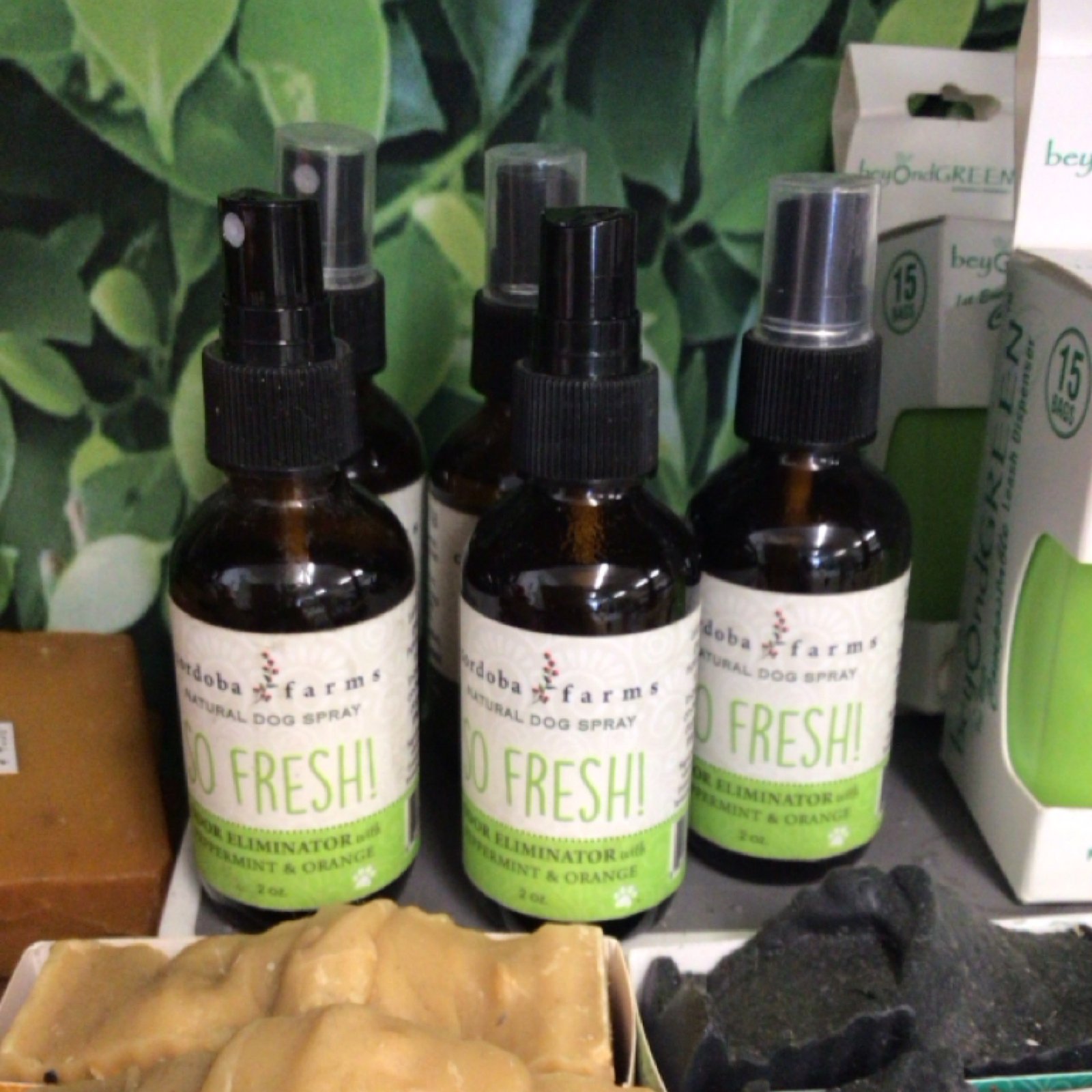 Natural Dog Spray Odor Eliminator - Peppermint and Orange (2 oz)